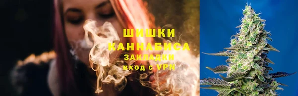 дмт Абаза