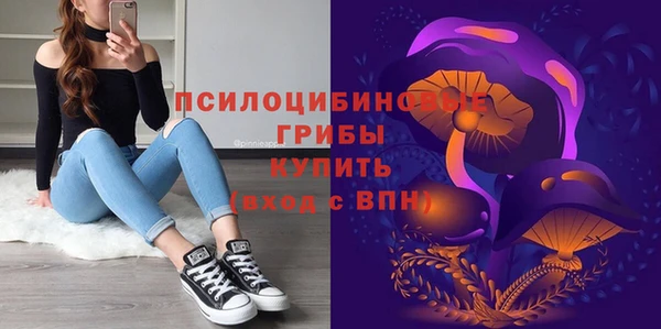 герыч Алзамай