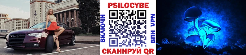 магазин  наркотиков  Красновишерск  сайты даркнета формула  Псилоцибиновые грибы прущие грибы 